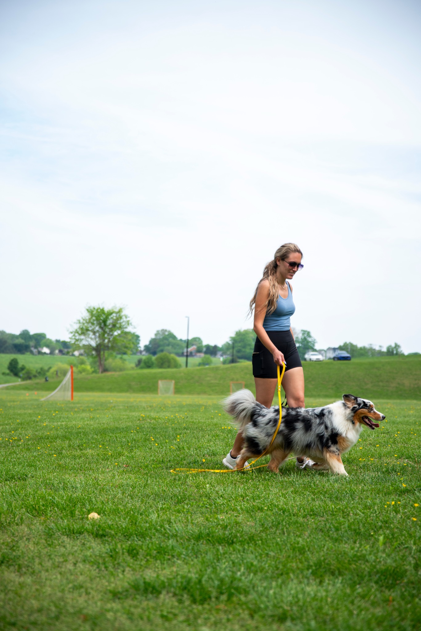 On Leash Training